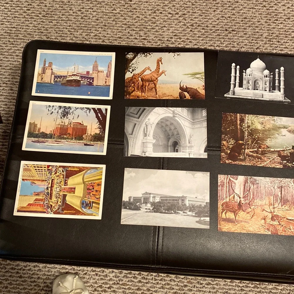 9 Vintage postcards of Chicago. 6 are of the natural history museum circa 1940